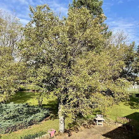 بيت للعطل Chez Bon Et Mone Onet-le-Château